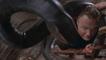 巨蟒之灾 第一季,奇幻冒险，笑料横生