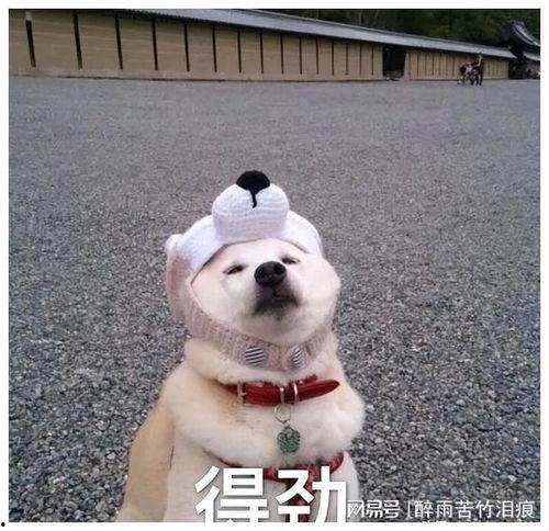 绿岛金魂,探寻神秘岛屿的传奇与宝藏