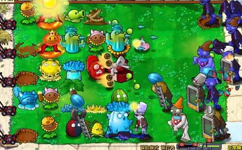 植物大战僵尸：最强王者,最强王者——绿色守护者的荣耀之战